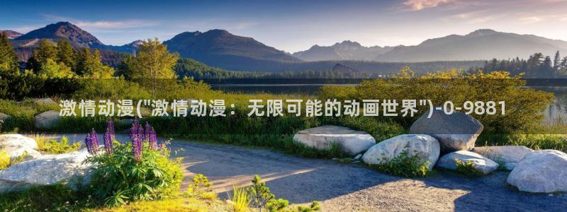 动漫大全