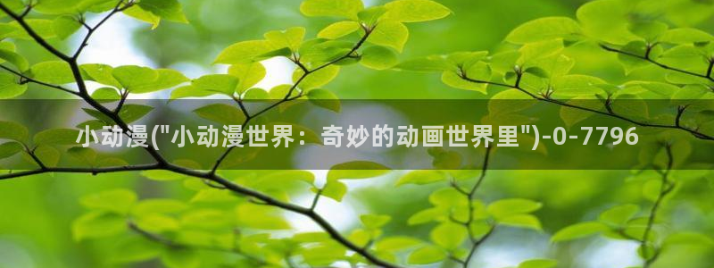 动漫培训基地