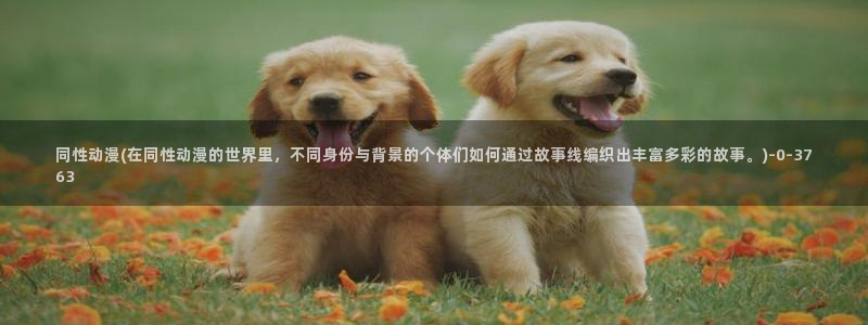 动漫导航